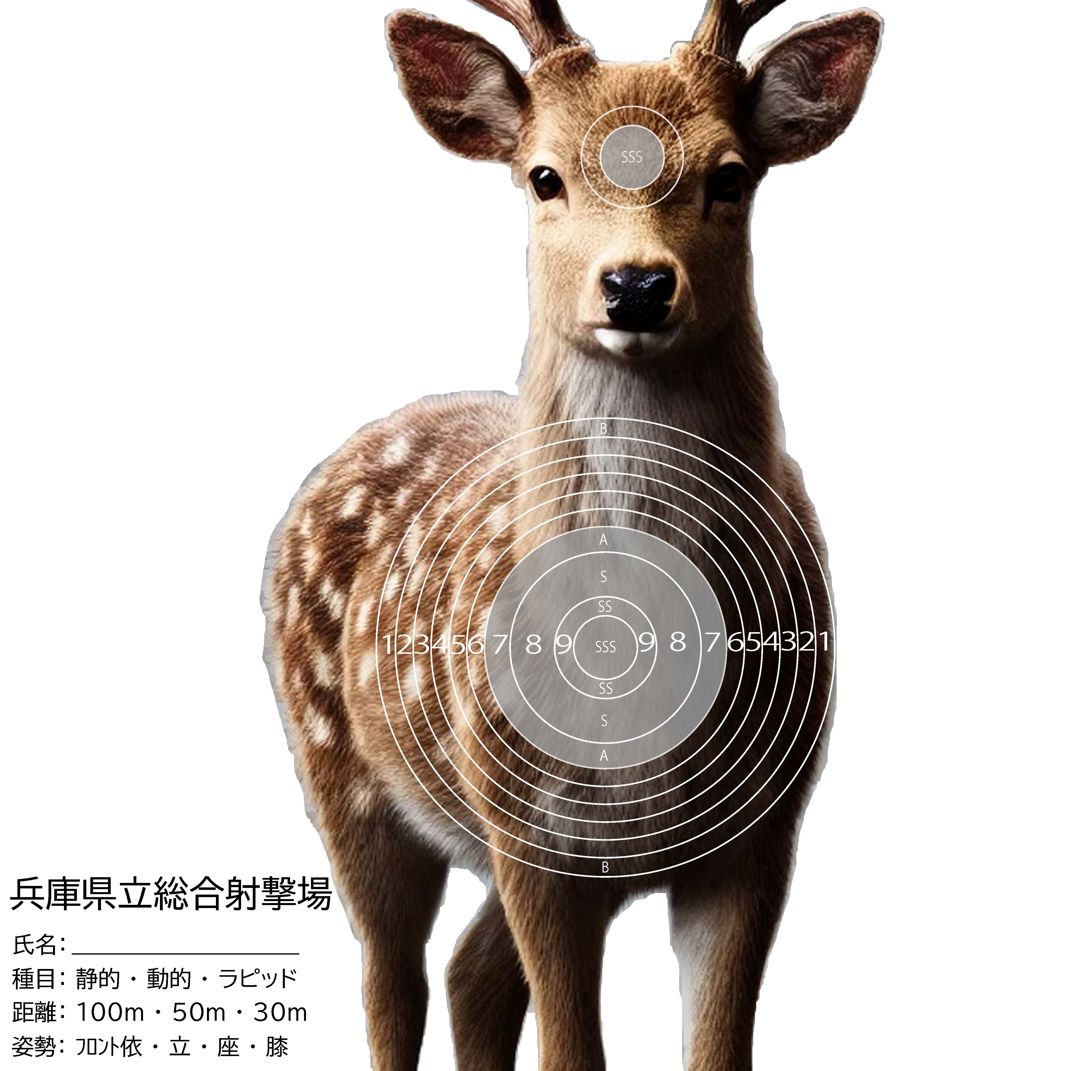 シカ成獣（正面）
