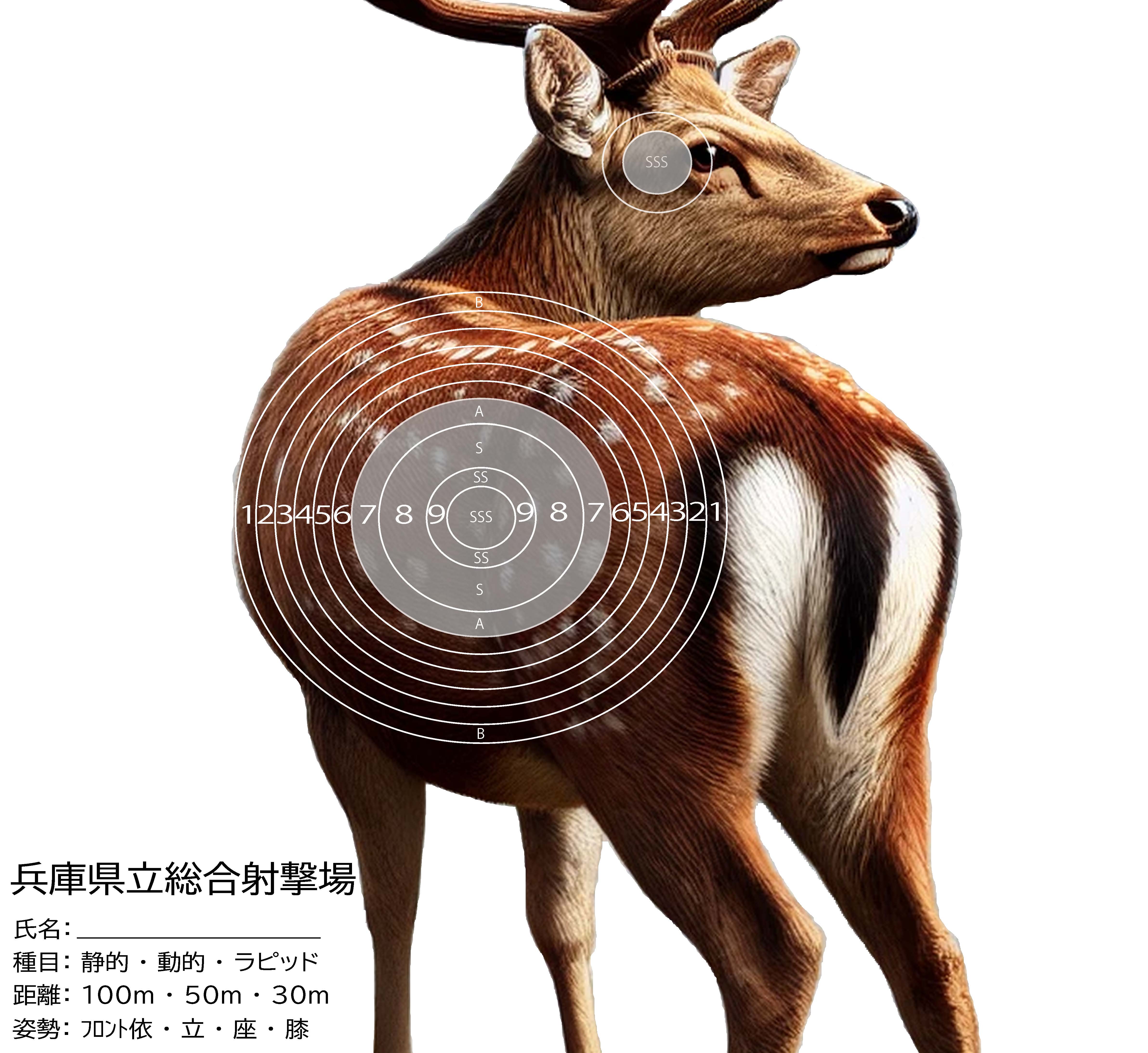 シカ成獣（後ろ）